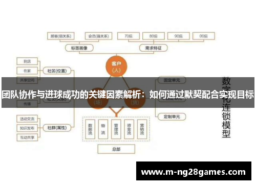 团队协作与进球成功的关键因素解析：如何通过默契配合实现目标