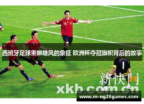 西班牙足球重振雄风的象征 欧洲杯夺冠旗帜背后的故事