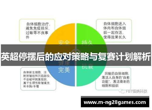 英超停摆后的应对策略与复赛计划解析